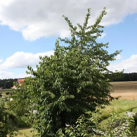 Waldblick アパート メンメルスドルフ